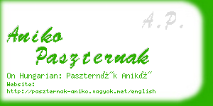 aniko paszternak business card